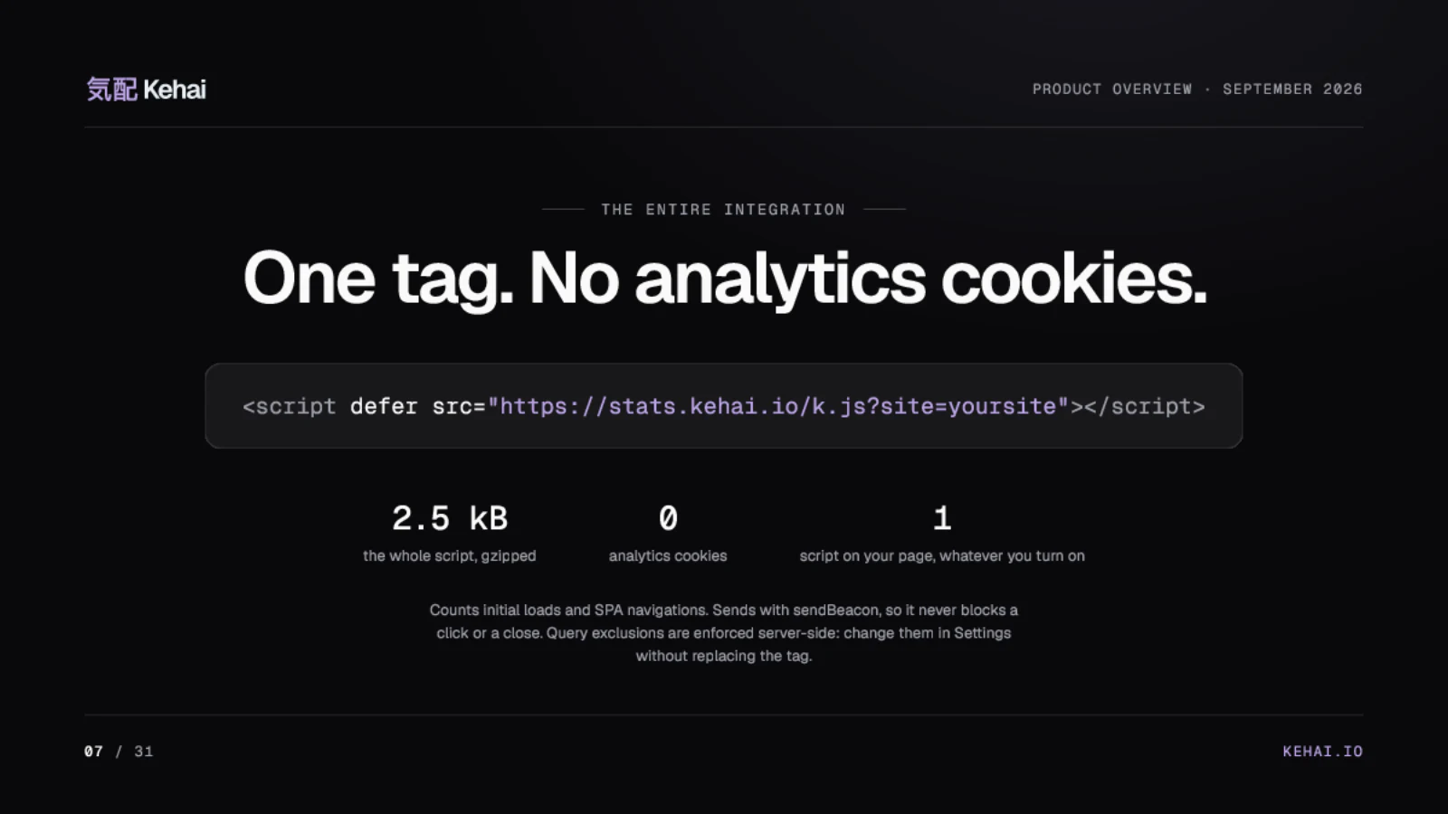Page 7 of 31: One tag. No analytics cookies.
