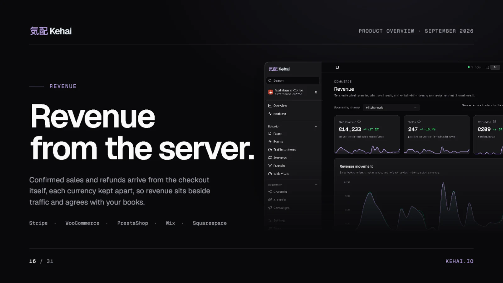Page 16 of 31: Revenue from the server.